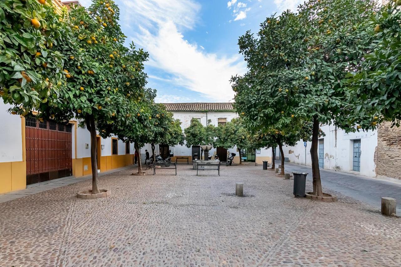 Ferienwohnung Bhost - Regina V Córdoba Exterior foto